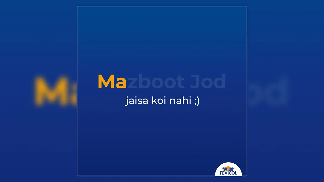 fevicol mothers day social media post