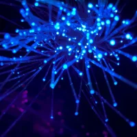 email template - Internet industry