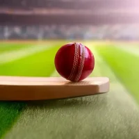 email template - cricket world cup