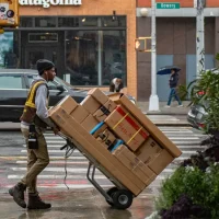 email template - online food ordering industry