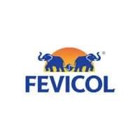 fevicol