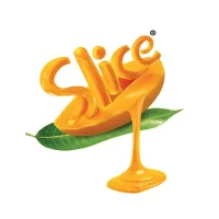 slice